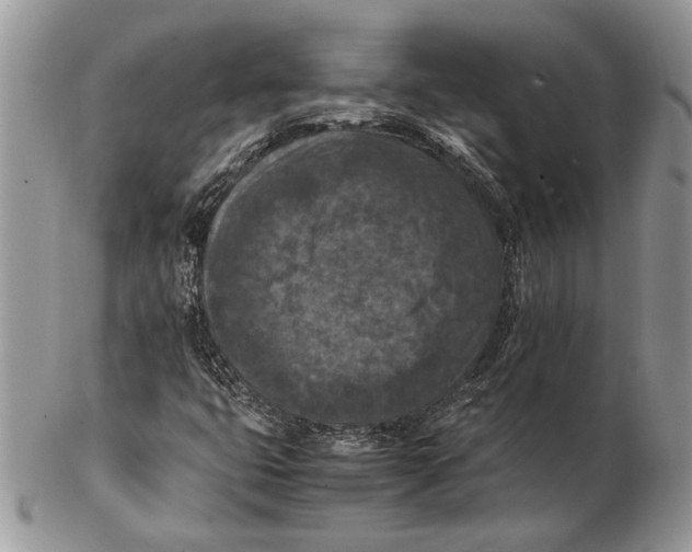 X0000102391399200808221814