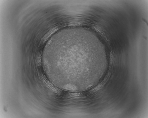 X0000102391401200808221814