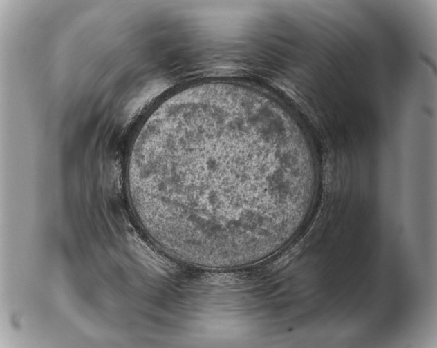 X0000102391402200808221814