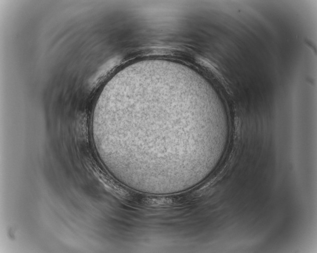 X0000102391403200808221814