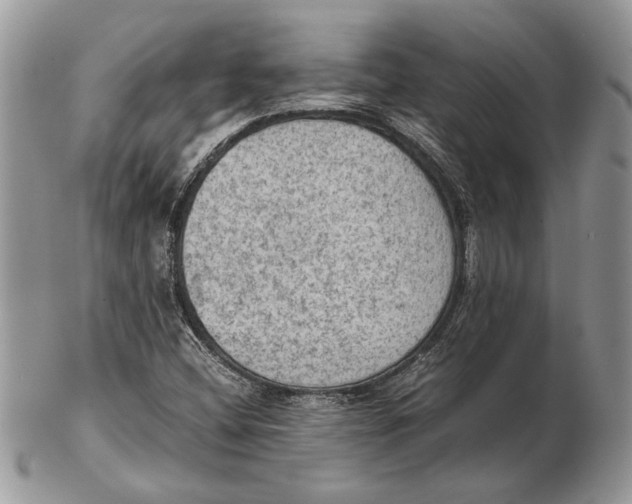 X0000102391404200808221814