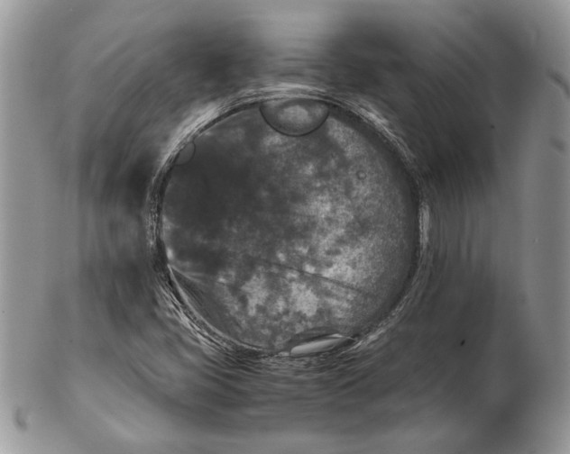 X0000102391405200808221814