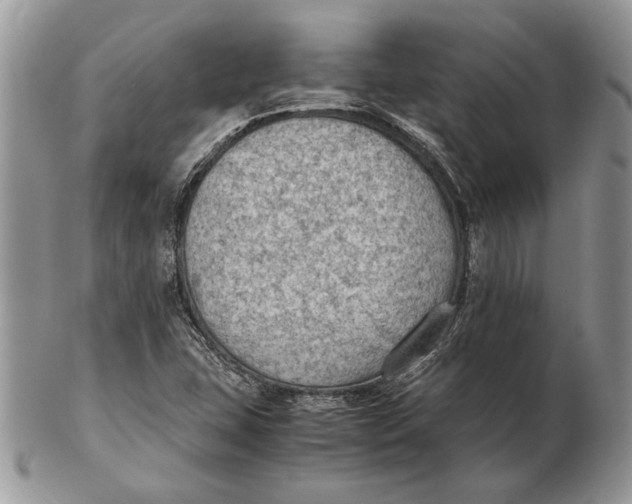 X0000102391407200808221814