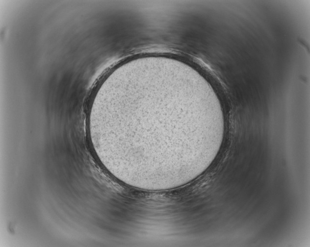 X0000102391408200808221814