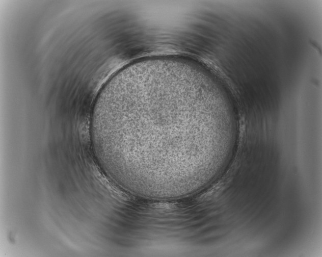 X0000102391409200808221814