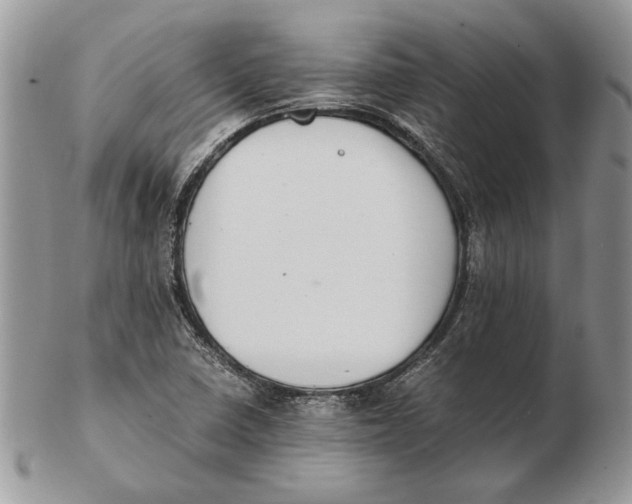 X0000102391410200808221814