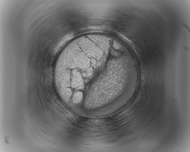 X0000102391411200808221814