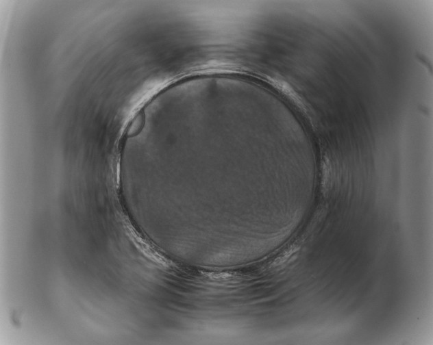 X0000102391413200808221814