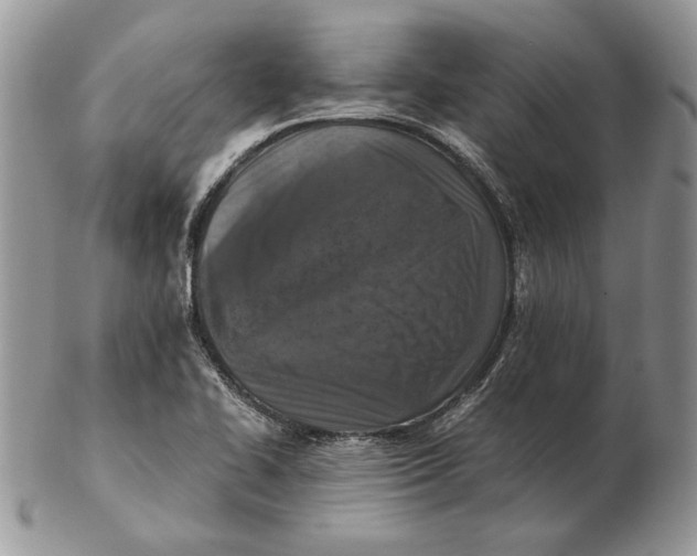 X0000102391414200808221814