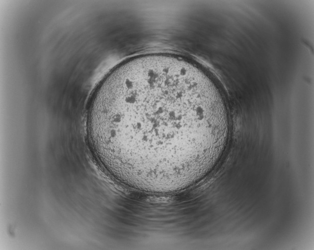 X0000102391415200808221814