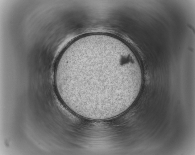 X0000102391416200808221814