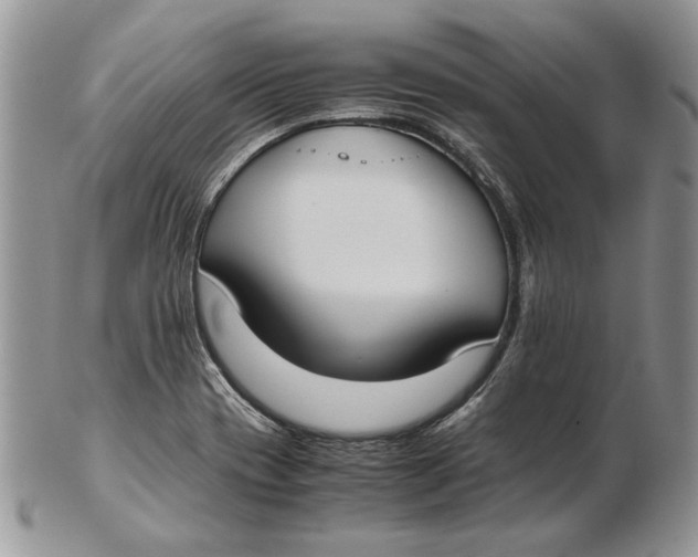 X0000102391417200808221814