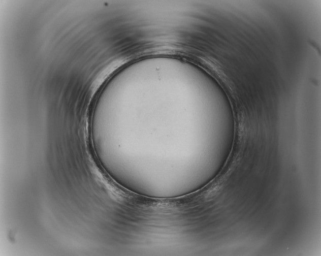 X0000102391418200808221814