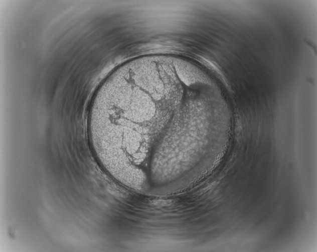 X0000102391419200808221814