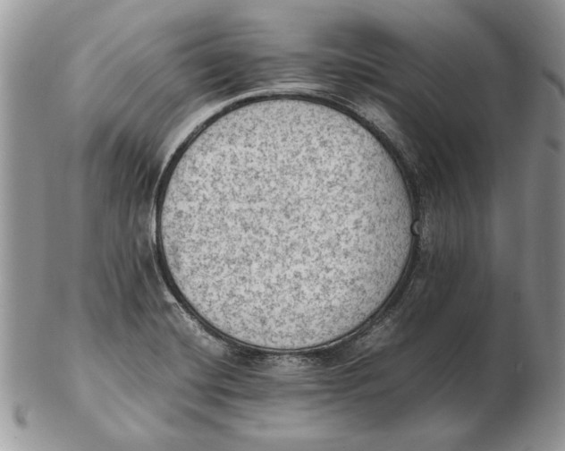 X0000102391420200808221814