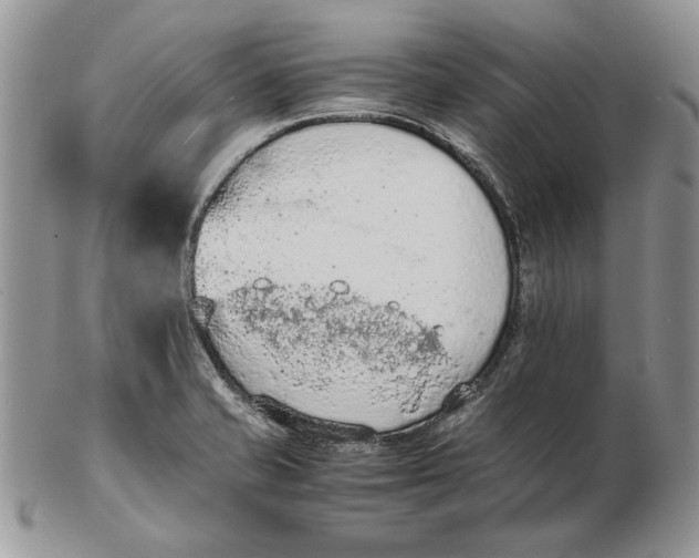 X0000102391421200808221814