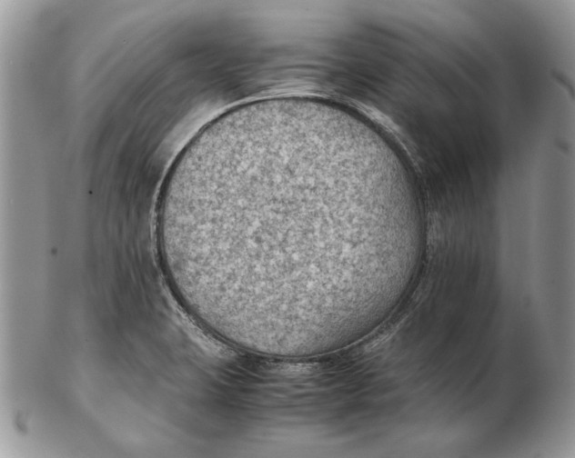 X0000102391423200808221815