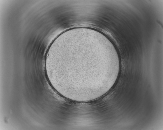 X0000102391424200808221815