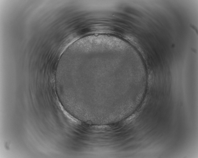 X0000102391425200808221815