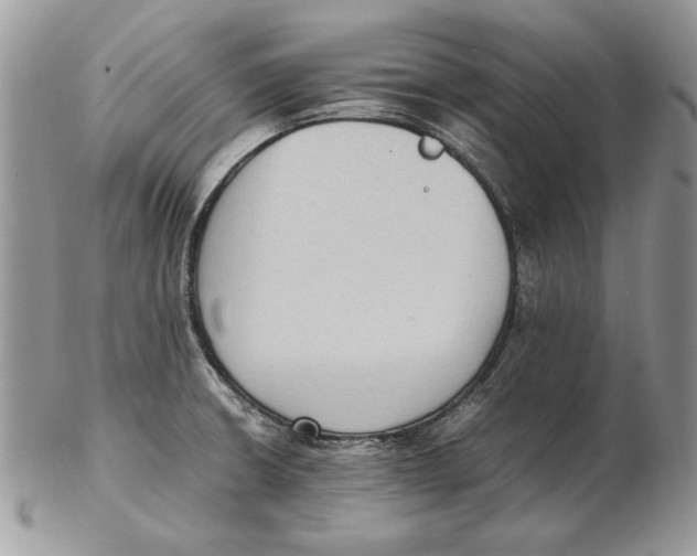 X0000102391426200808221815