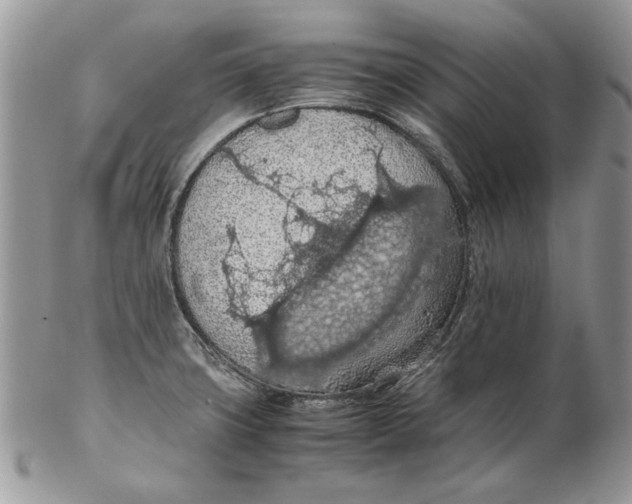 X0000102391427200808221815