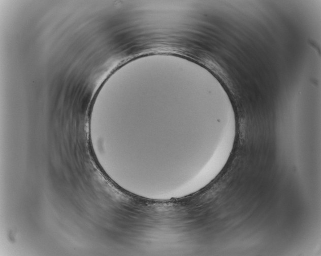 X0000102391428200808221815