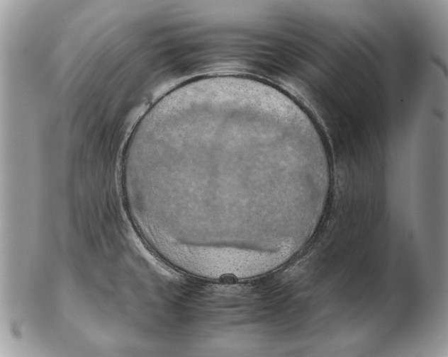 X0000102391429200808221815