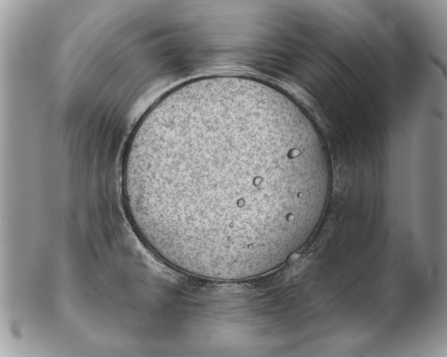 X0000102391430200808221815