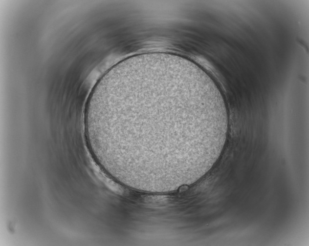 X0000102391431200808221815