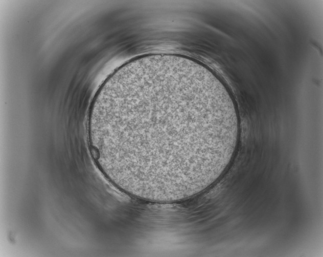 X0000102391432200808221815