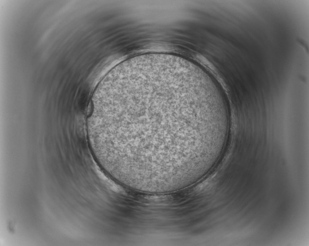 X0000102391433200808221815