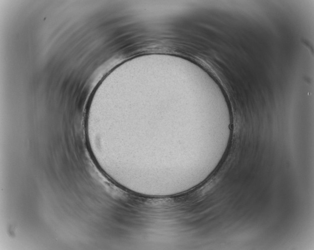 X0000102391434200808221815