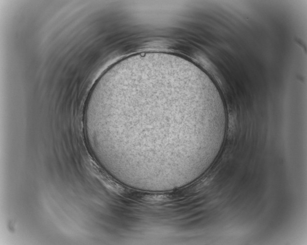 X0000102391435200808221815