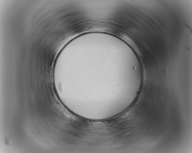 X0000102391436200808221815