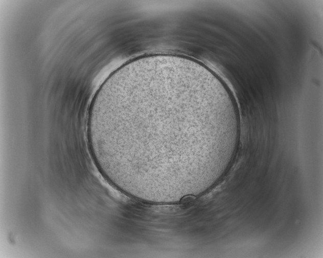 X0000102391437200808221815