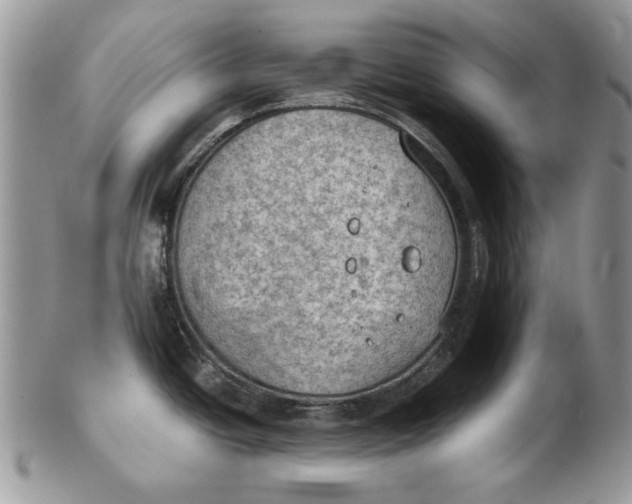 X0000102391438200808221815