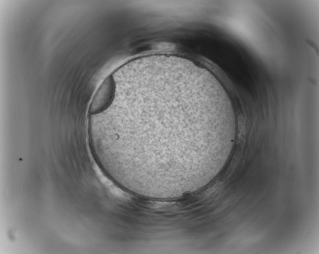 X0000102391439200808221815