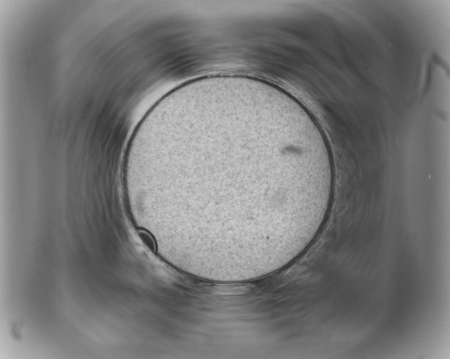 X0000102391440200808221815