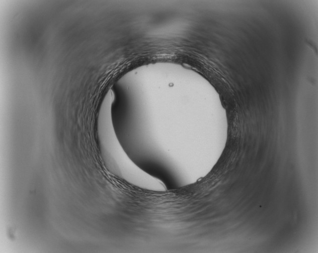 X0000102391441200808221814