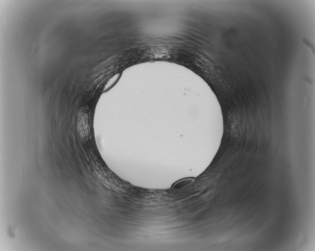 X0000102391442200808221814