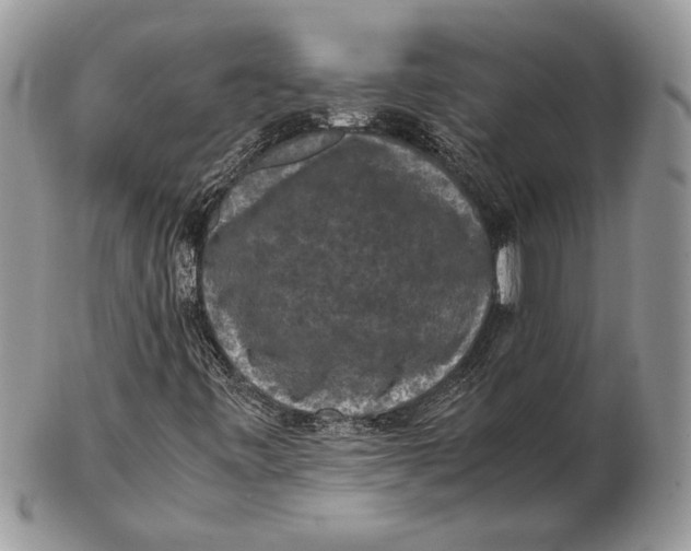 X0000102391443200808221814