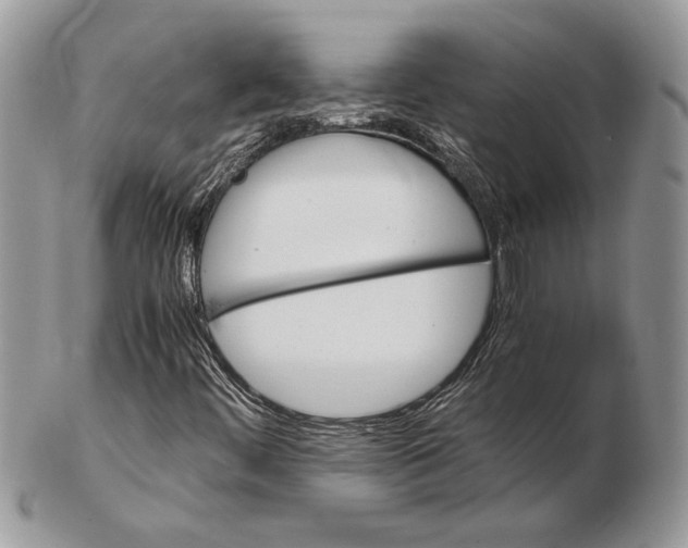 X0000102391444200808221814