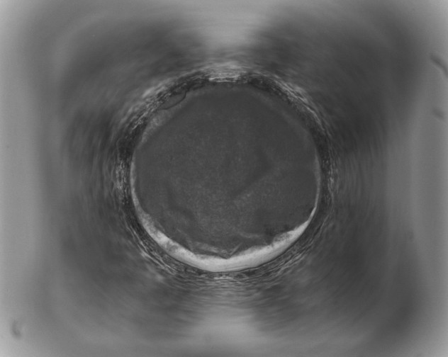 X0000102391445200808221814