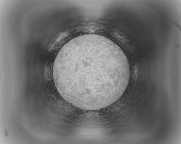 X0000102391446200808221814