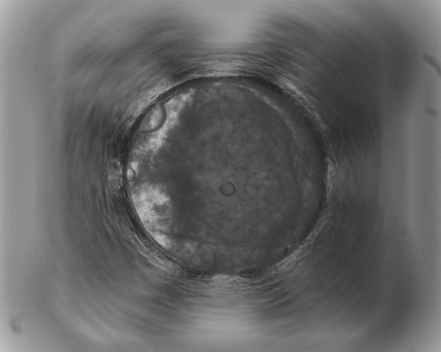 X0000102391449200808221814