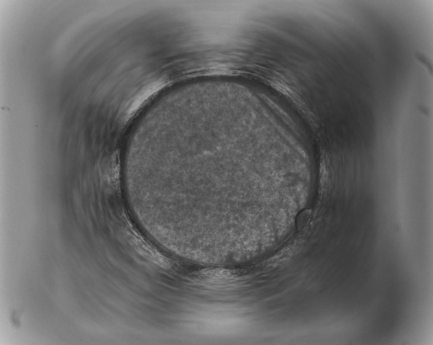 X0000102391450200808221814