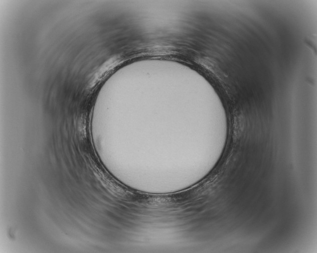 X0000102391451200808221814