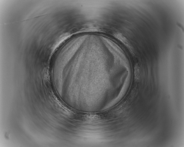 X0000102391452200808221814