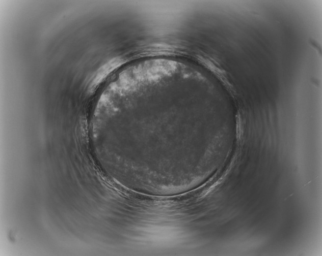 X0000102391453200808221814