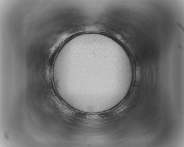 X0000102391454200808221814